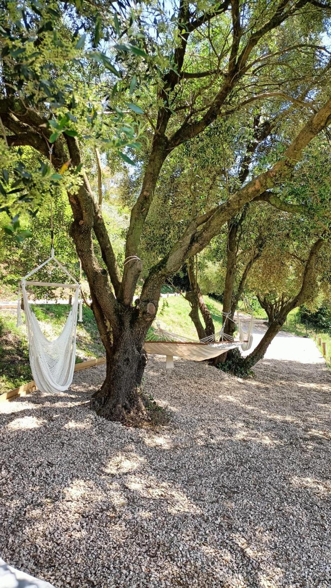 Tuffudesu Experience (Adults Only) Bed and Breakfast Osilo Buitenkant foto